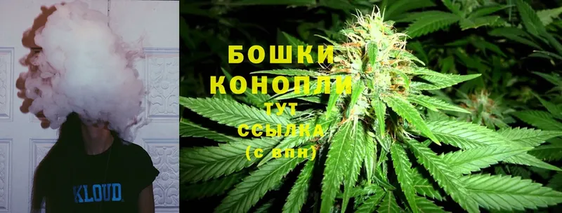 Бошки марихуана Ganja  купить   Белинский 